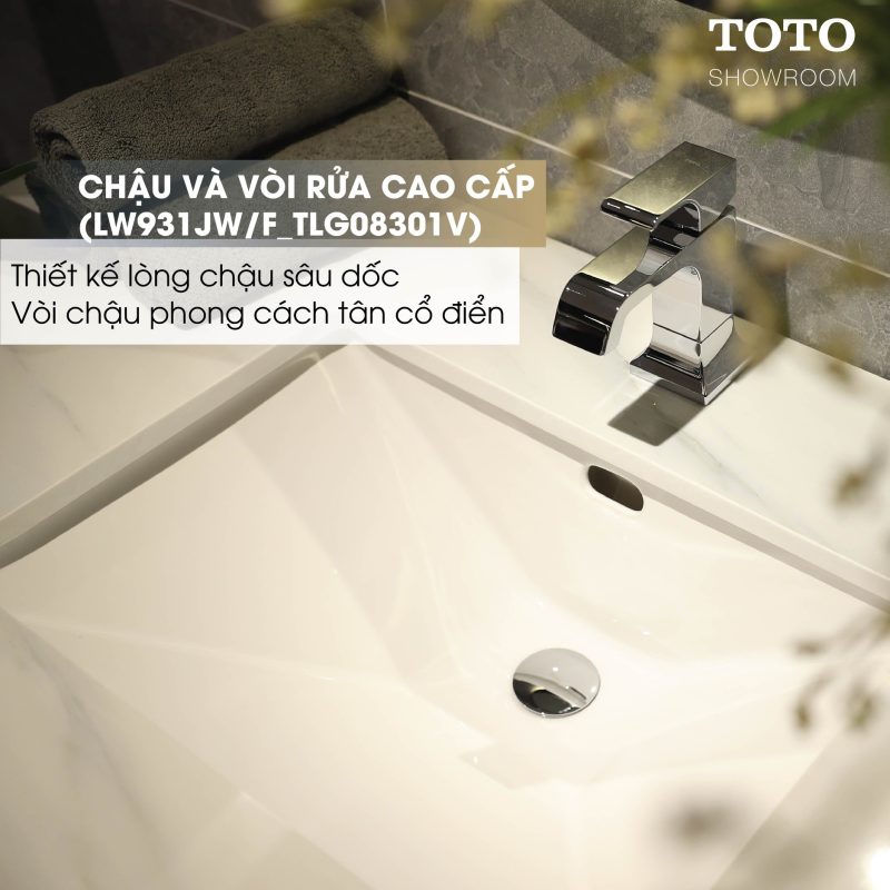 Chậu và vòi rửa cao cấp TLG80301V