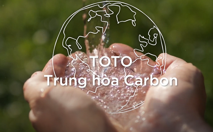 Trung hòa carbon