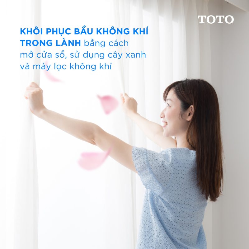 Khử mùi và làm sạch không khí