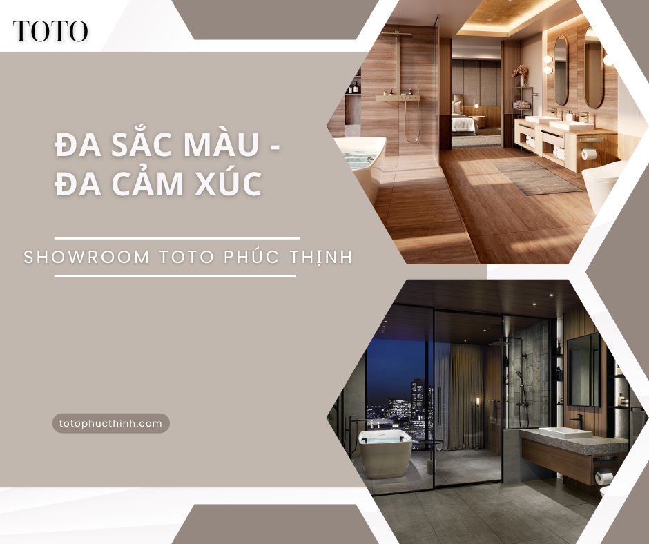 ĐA SẮC MÀU - ĐA CẢM XÚC