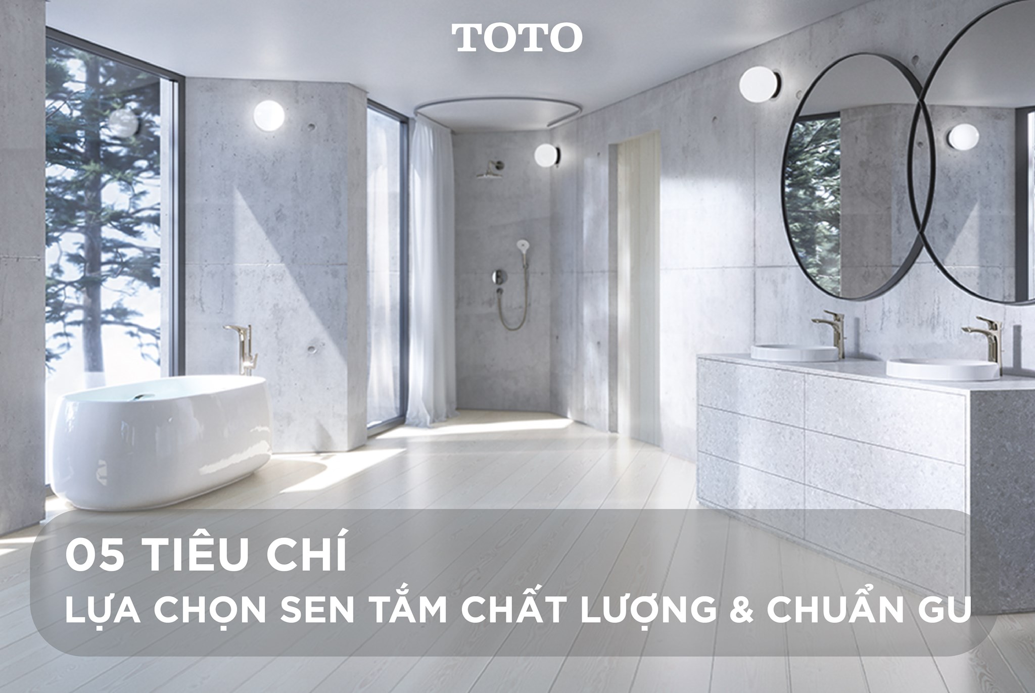 5 TIÊU CHÍ LỰA CHỌN SEN TẮM