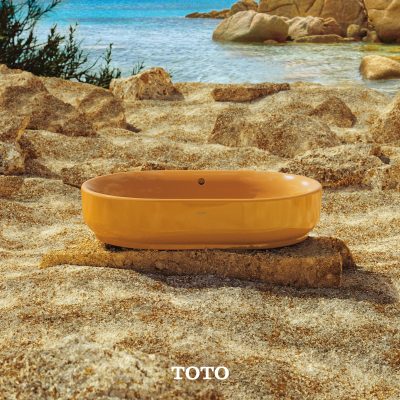 MÙA HÈ - MÙA CỦA SỨC SỐNG RỰC RỠ
